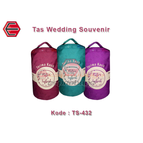 TS 432 1